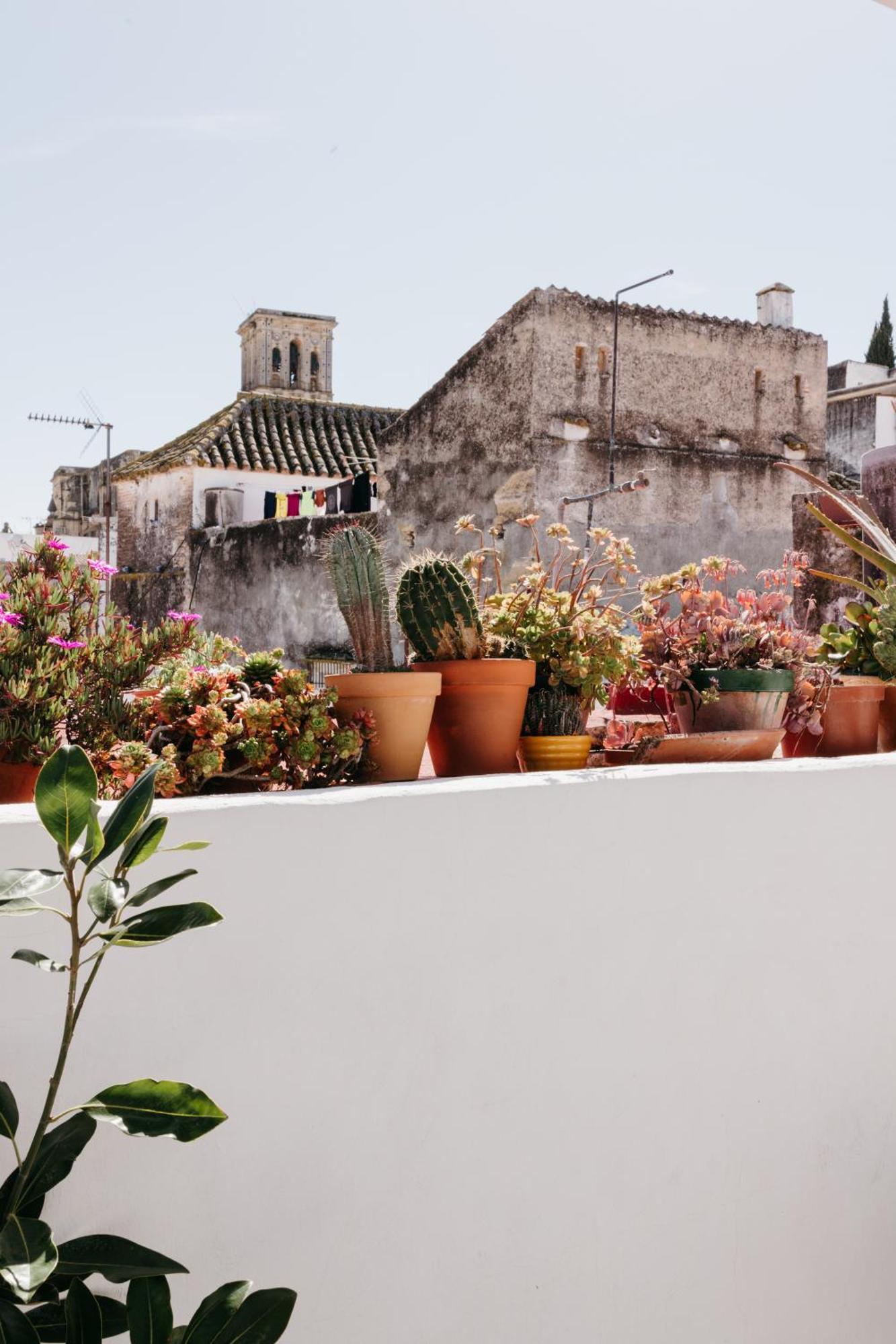 مبيت وإفطار أركوس ديلا فرونتيرا Botanico Casa Rural المظهر الخارجي الصورة